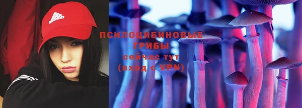 СК Архангельск