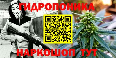 сатива Азнакаево