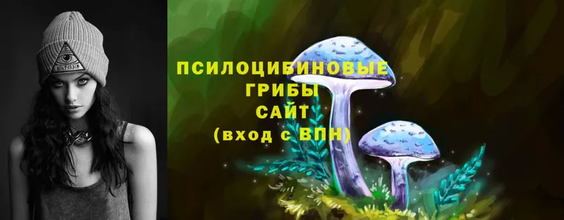 Псилоцибиновые грибы Psilocybe  сколько стоит  Асбест 