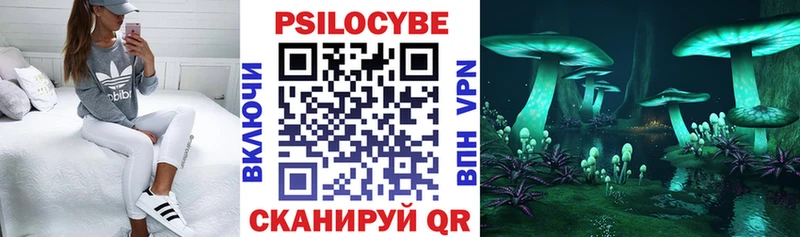 магазин наркотиков Асбест Галлюциногенные грибы прущие грибы