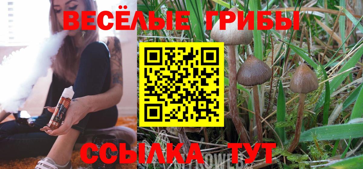 Псилоцибиновые грибы MAGIC MUSHROOMS  Вход с VPN  Галлюциногенные грибы GOLDEN TEACHER  Асбест 