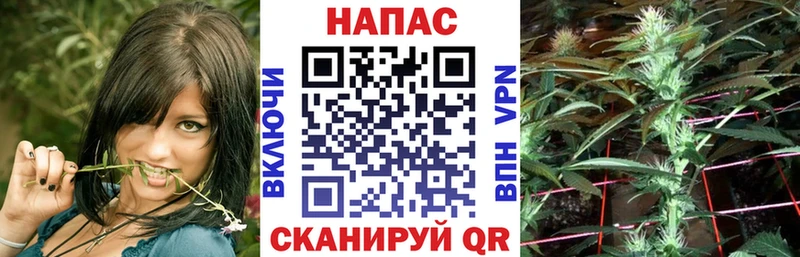 Конопля White Widow Асбест